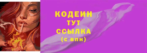 твердый Козельск