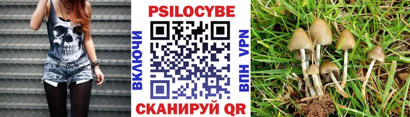 Галлюциногенные грибы ЛСД  где купить наркотик  Истра 